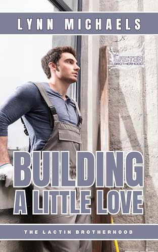 Building A Little Love (Kindle Edition)
