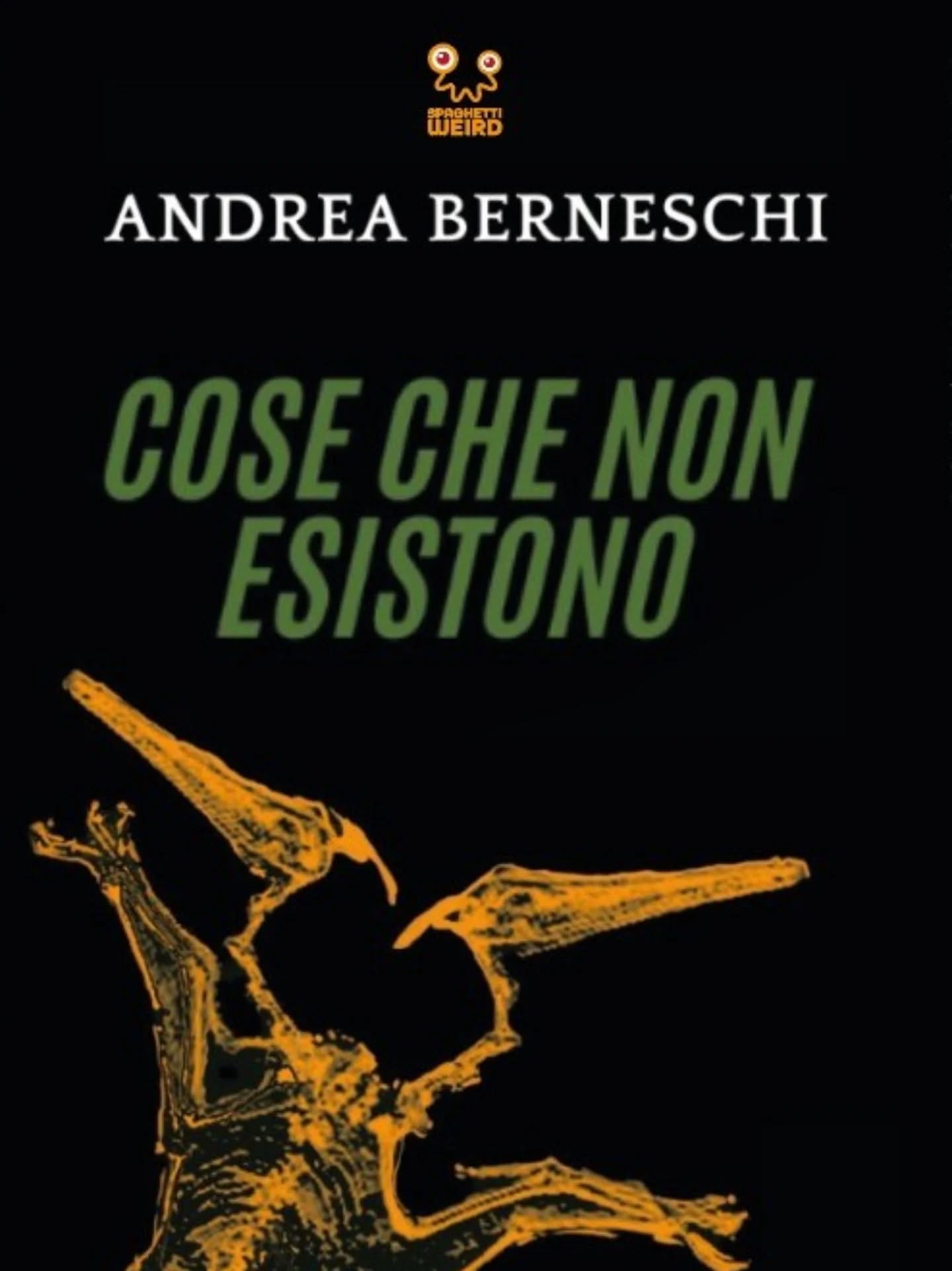 Cose che non esistono