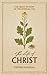 The Life of Christ: The Great Mystery of the Spiritual Life