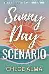 Sunny Day Scenario