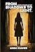 From Shadows to Light by Linda Kramer