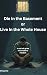 Die In The Basment Or Live In The Whole House: A Real Talk Guide From Meth To Recovery