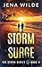 Storm Surge (Storm, #3)