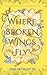 Where Broken Wings Fly by Molly  Frances