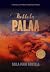 Kokkola palaa (Liza Virtasen tutkimuksia)