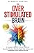 The Overstimulated Brain: A...