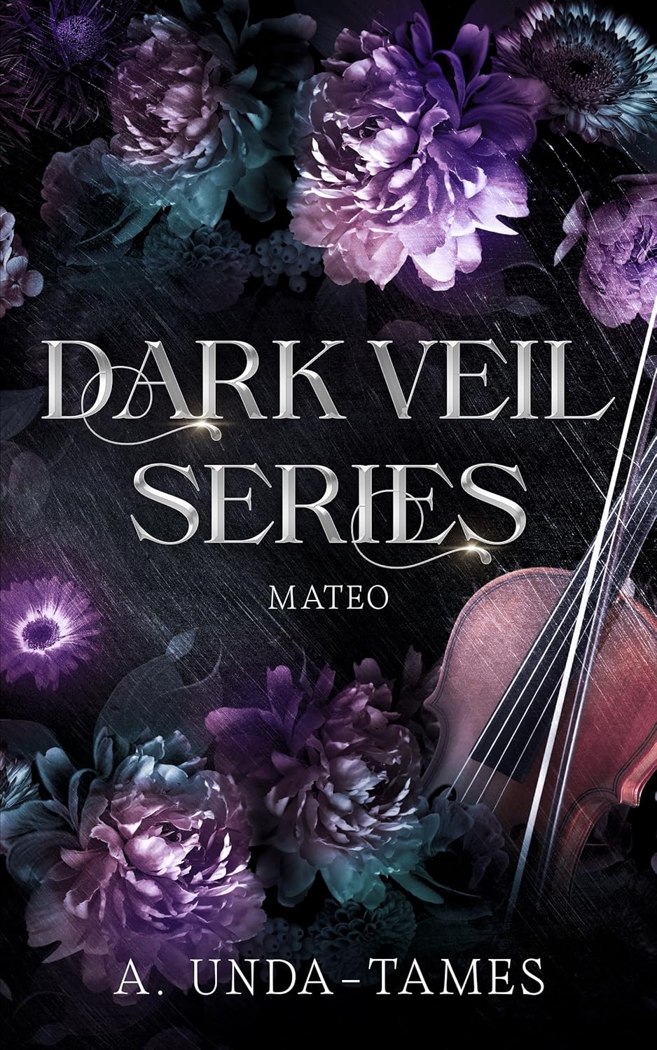 Mateo (Dark Veil Series, #2)