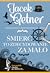 Śmierć to zdecydowanie za mało (Detektyw Jacek Przypadek, #12)