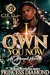 I Own You Now: An...