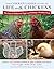 The Chicken Ladies' Guide to Life with Chickens: The Joys of Delicious Eggs and Raising a Healthy Flock