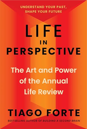 Life in Perspective: The Art and Power of the Annual Life Review (Kindle Edition)