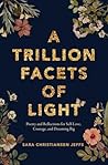 A Trillion Facets...