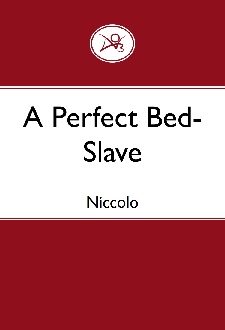 A Perfect Bed-Slave (ebook)