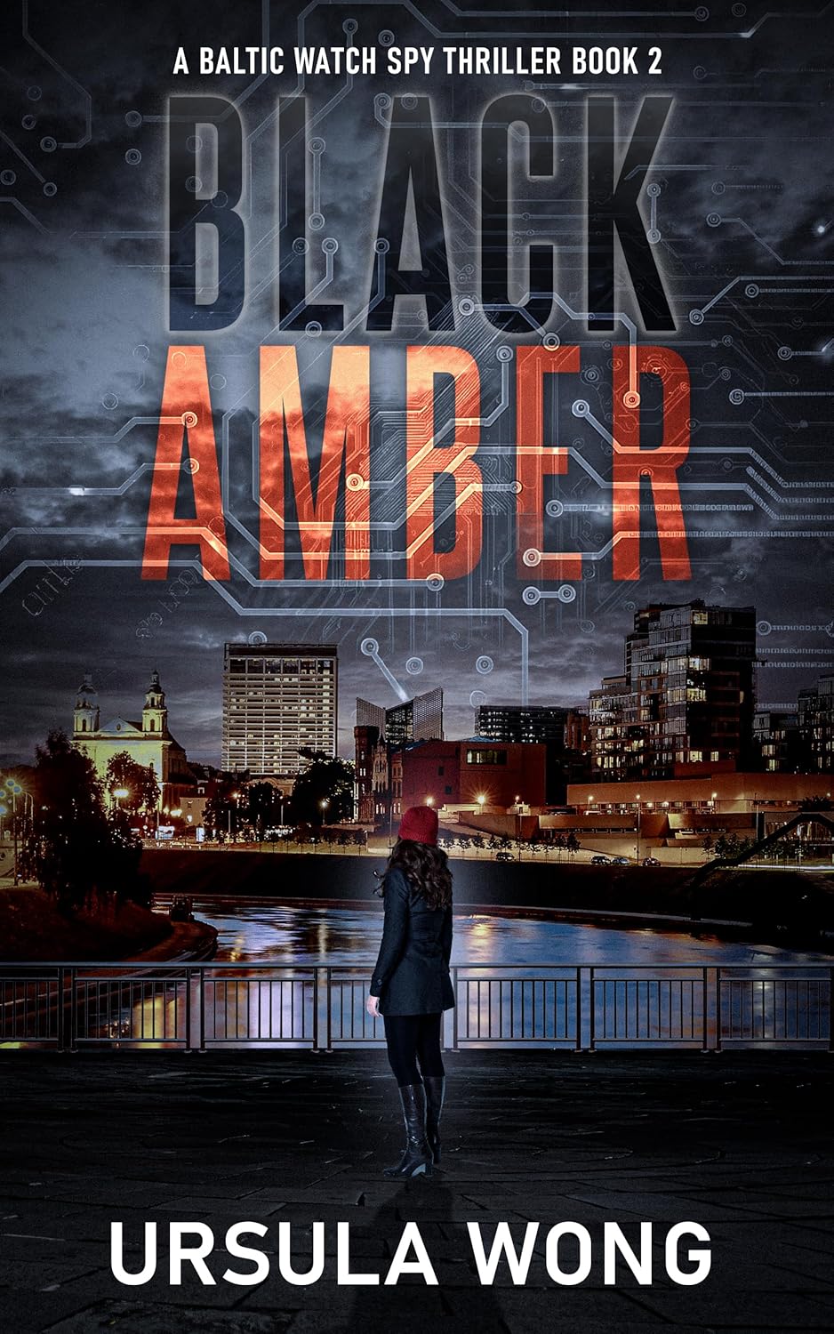 Black Amber (Kindle Edition)