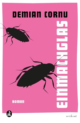Einmachglas: Eine Klasse kurz vor dem Ende der Schulzeit. Mobbing, Wut, Schweigen - bis alles durcheinandergerät. Das Abschlusstheater spiegelt zunehmend ... zum Befreiungsschlag. (German Edition)