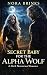 Secret Baby for the Alpha Wolf by Nora Brinks