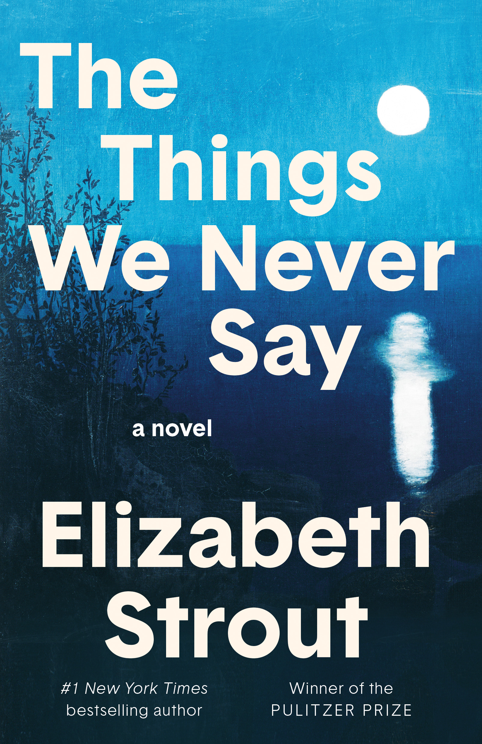 The Things We Never Say (Hardcover)