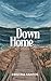 Down Home: A small town, forced proximity summer romance (Balsam Bay Series Book 2)