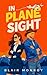 In Plane Sight by Blair Monroy