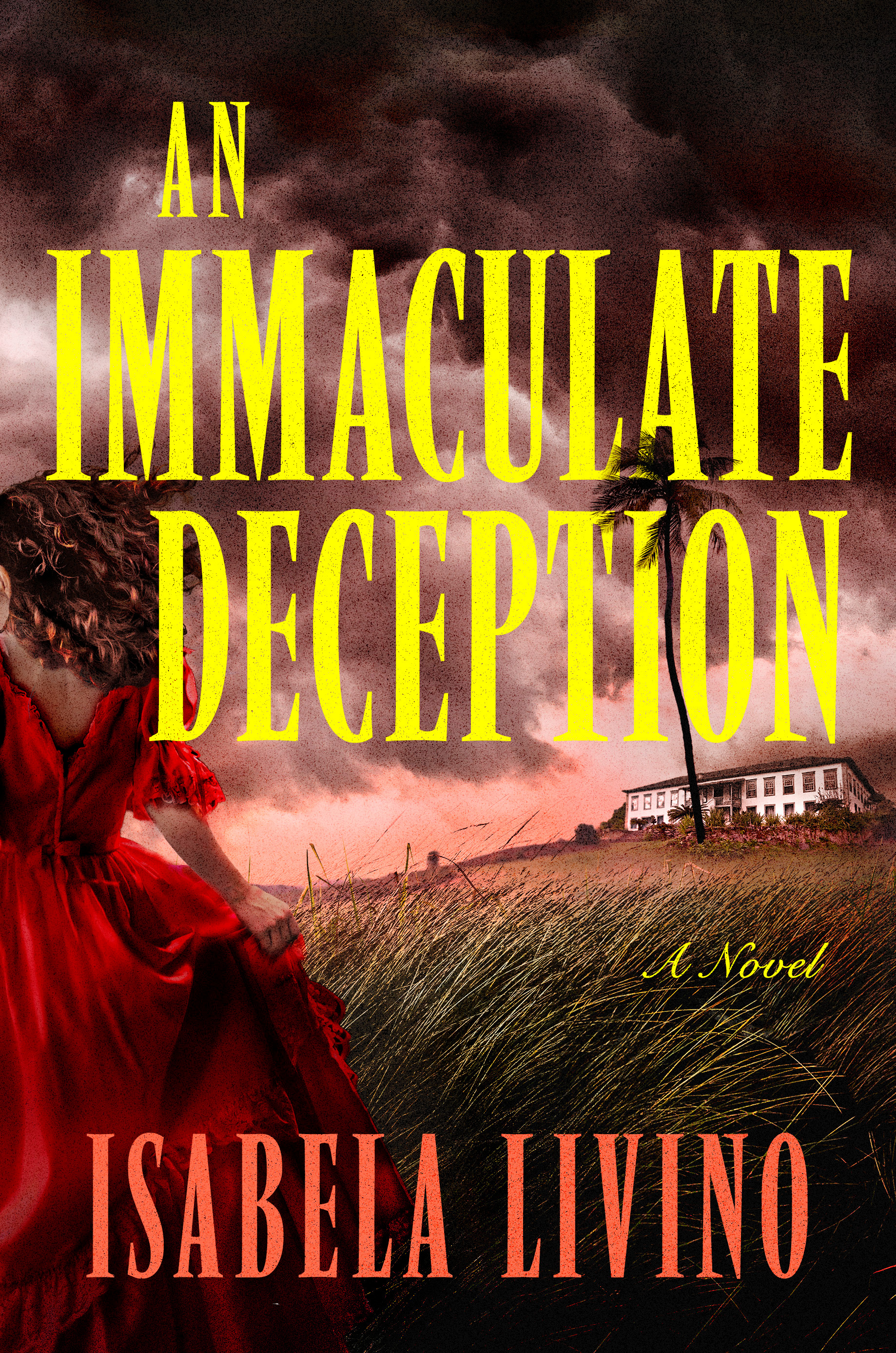 An Immaculate Deception (Hardcover)