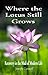 Where the Lotus Still Grows: Recovery in the Mud of Modern Life
