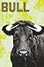 BULL #13 by Benjamin K. Drevlow