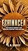 Echinacea : Nature’s Remedy for Immune Support and Healing