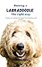 Raising a Labradoodle the R...