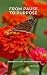 From Pause To Purpose by Sig Muller