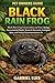 BLACK RAIN FROG: Black Rain...