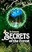 Secrets of the Forest: Der magische Auftakt der Romantasy-Trilogie "Witches of the Past" (German Edition)