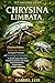 CHRYSINA LIMBATA: Chrysina ...