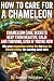 How to Care For a Chameleon...