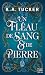 Un Fléau de Sang & de Pierre: Une romantasy forbidden love