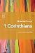 Journey Through 1 Corinthians by David Gibb