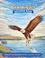 Bald Eagles Coloring Book: ...