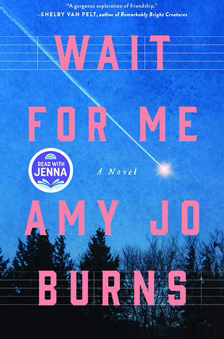 Wait for Me (Hardcover)