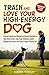 Train and Love Your High-Energy Dog by Summer Fitchley