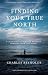 Finding Your True North: A ...