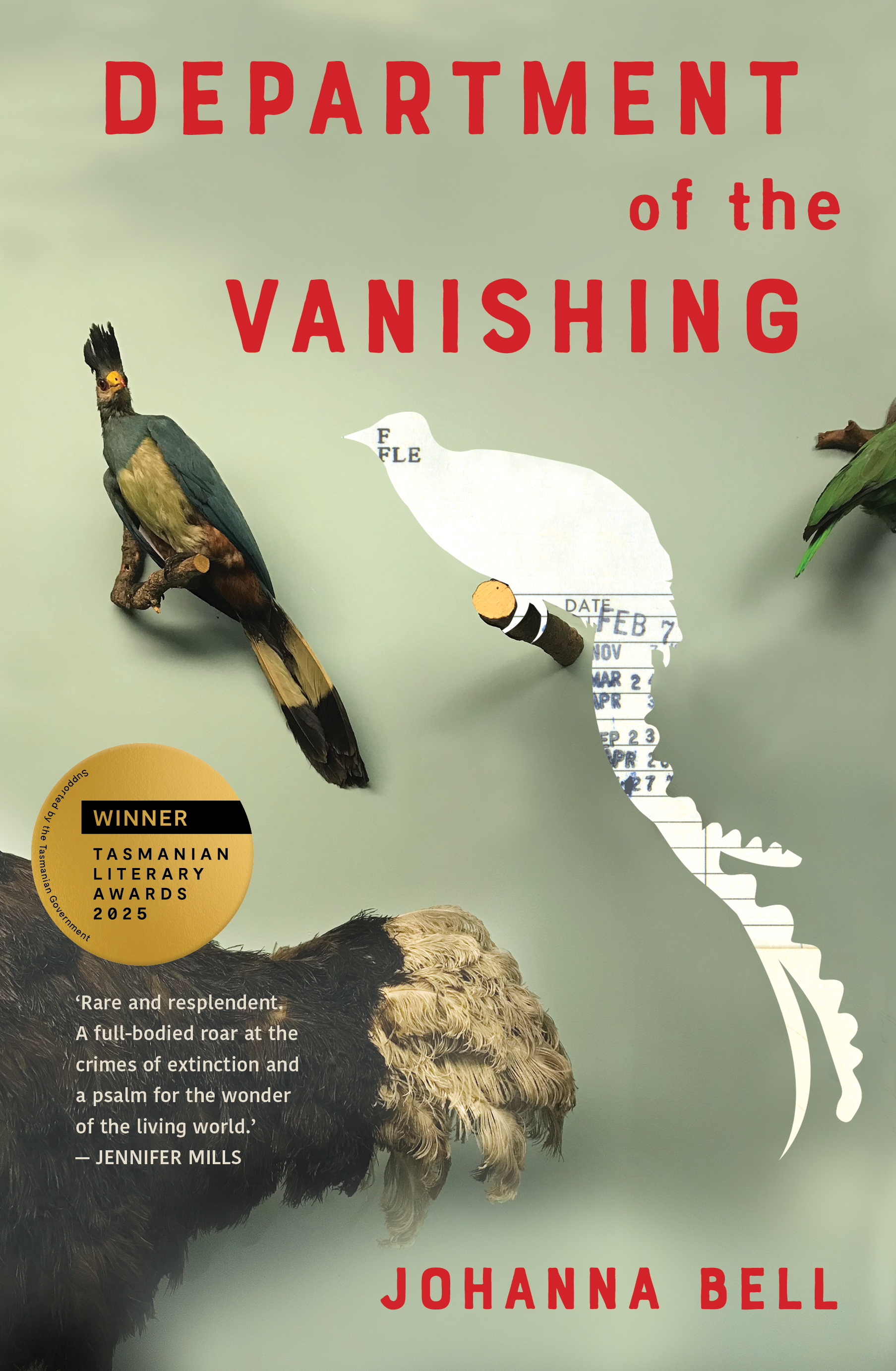 Department of the Vanishing (Paperback)