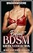 Explicit BDSM Erotica Colle...