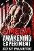 Omega Awakening Experiment