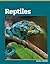 Reptiles (All About Animal Classification)