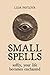 Small Spells: Softly, Your Life Becomes Enchanted (Subtle Sorcery)