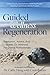 Guided Wellness Regeneratio...