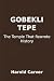 Gobekli Tepe by Harold Carver