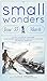 Small Wonders Magazine Issue 33 by S.C. Mills