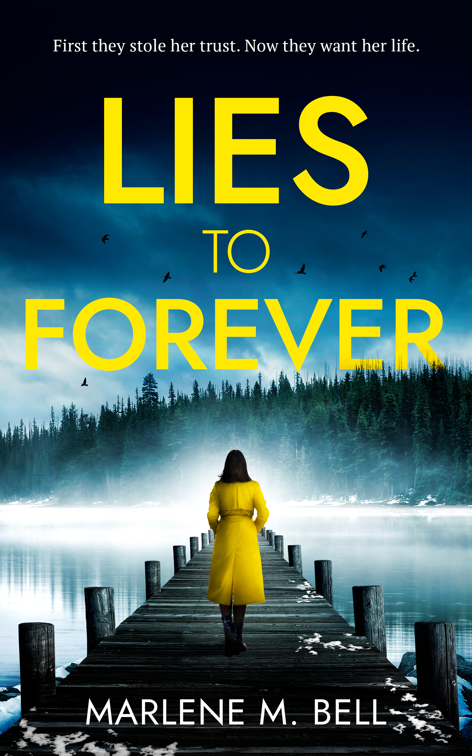 Lies To Forever (Paperback)