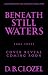 Beneath Still Waters (Into ...
