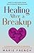 Healing After a Breakup : H...